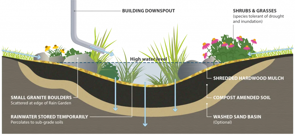 Bioretention basin cross-section design for Edmonton LID projects