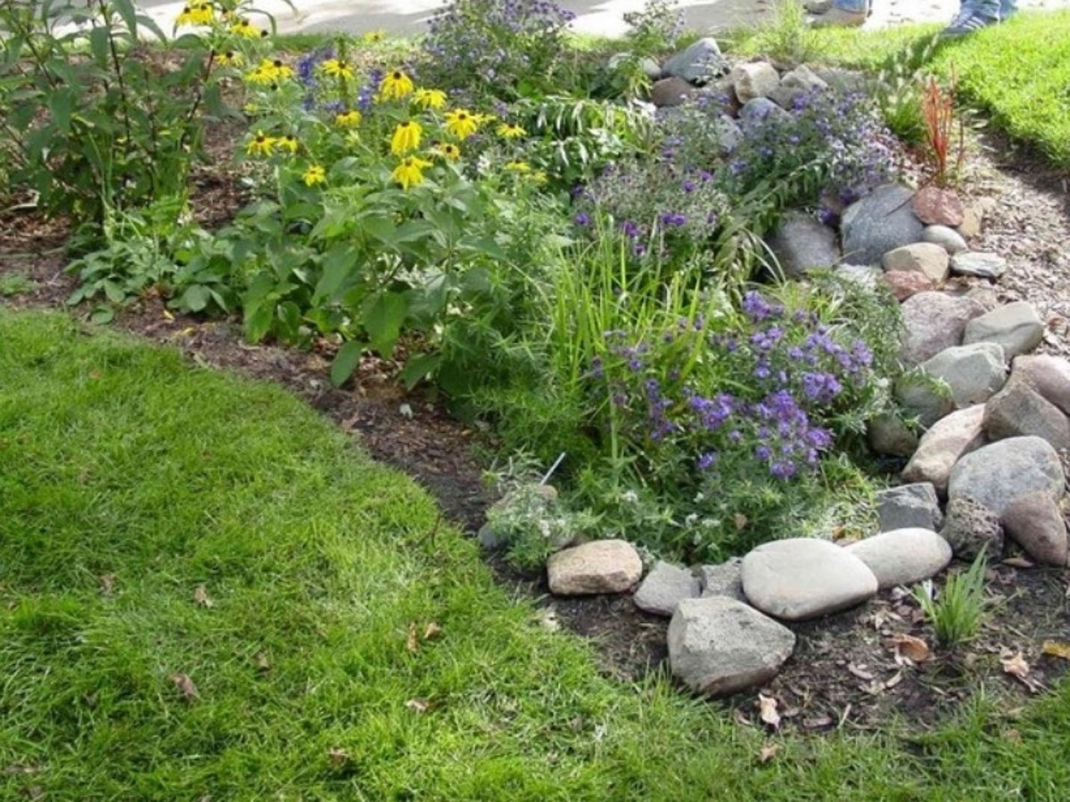Rock-lined residential rain garden with native plants capturing runoff