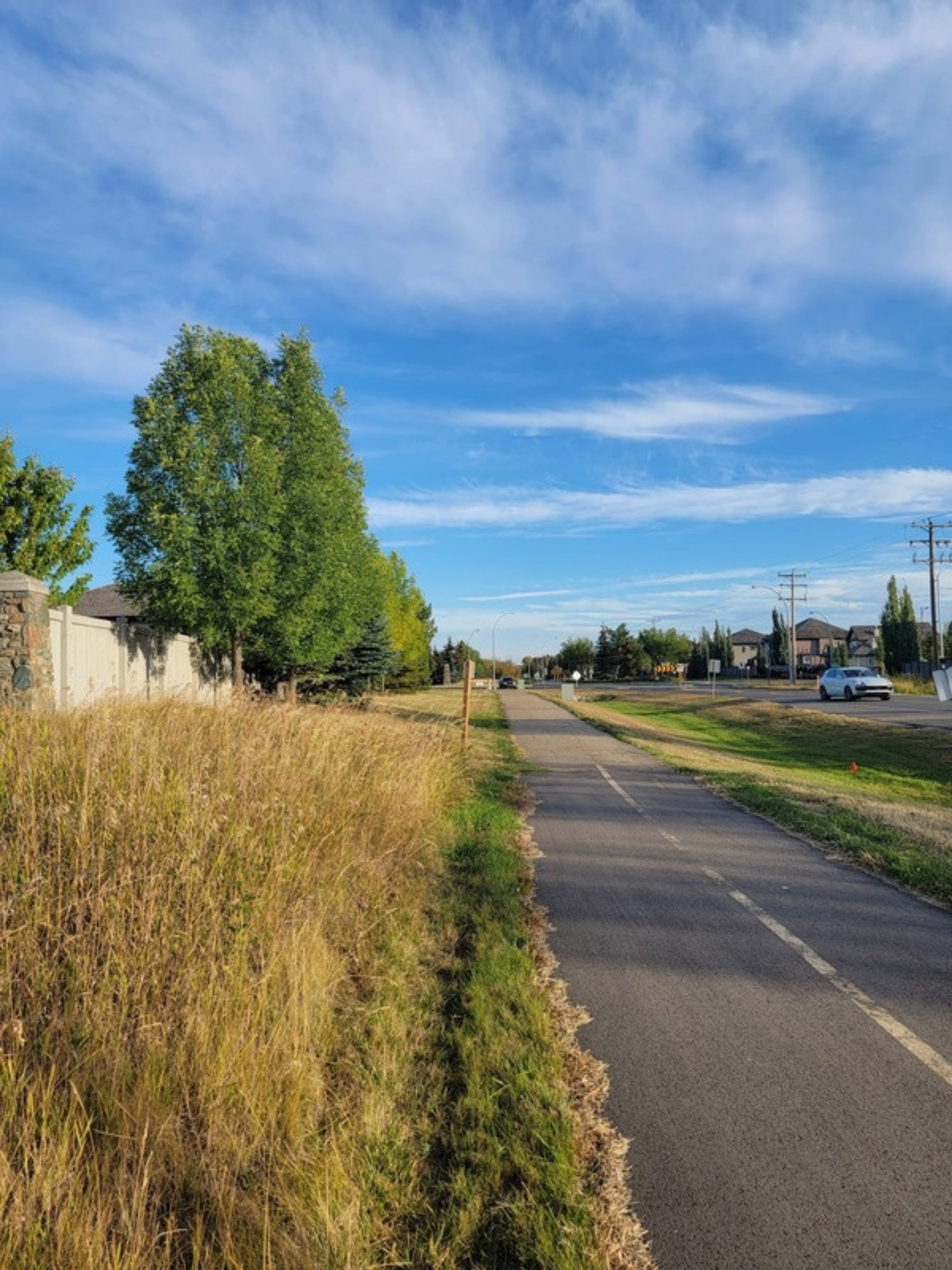 Vegetated swale and pathway in an Edmonton park